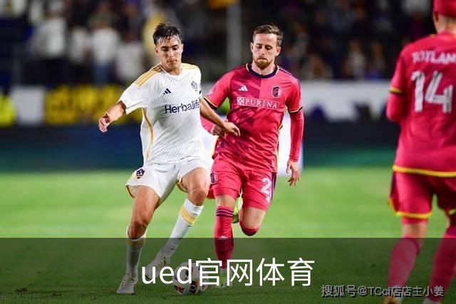 ued官网体育公司简介图片